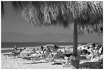 People lying on beach chairs, Nuevo Vallarta, Nayarit. Jalisco, Mexico (black and white)