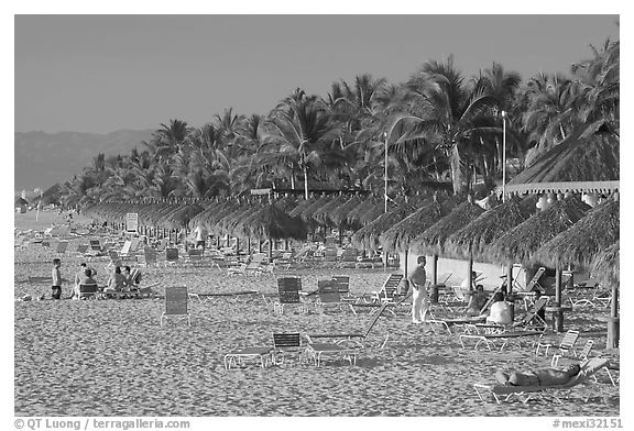 Beach front with sun shades and palm trees, Nuevo Vallarta, Nayarit. Jalisco, Mexico (black and white)