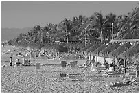 Beach front with sun shades and palm trees, Nuevo Vallarta, Nayarit. Jalisco, Mexico ( black and white)