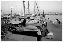 Marina, Nuevo Vallarta, Nayarit. Jalisco, Mexico ( black and white)