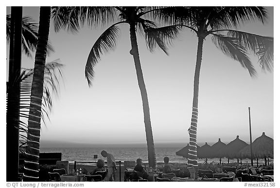 Outdoor dining under palm trees at sunset, Nuevo Vallarta, Nayarit. Jalisco, Mexico