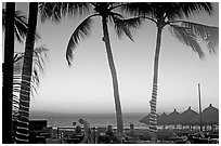 Outdoor dining under palm trees at sunset, Nuevo Vallarta, Nayarit. Jalisco, Mexico ( black and white)