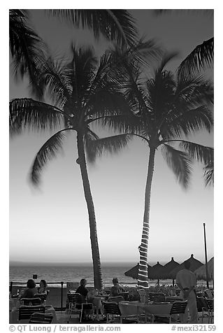 Outdoor restaurant with palm trees at sunset, Nuevo Vallarta, Nayarit. Jalisco, Mexico