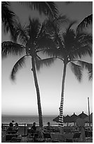 Outdoor restaurant with palm trees at sunset, Nuevo Vallarta, Nayarit. Jalisco, Mexico (black and white)