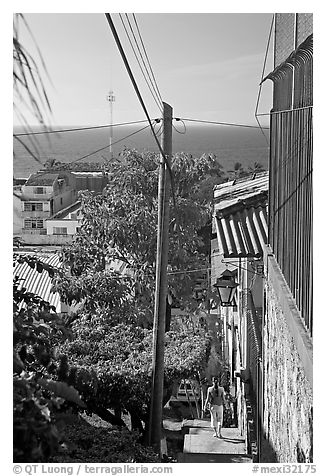 Steep stairway street, Puerto Vallarta, Jalisco. Jalisco, Mexico (black and white)