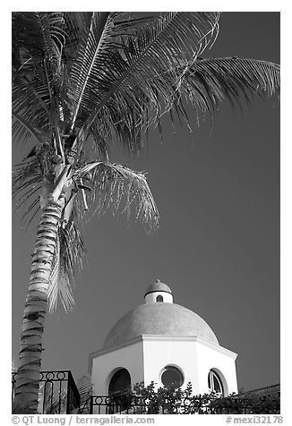 Palm tree and  blue dome, Puerto Vallarta, Jalisco. Jalisco, Mexico (black and white)