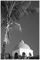 Palm tree and  blue dome, Puerto Vallarta, Jalisco. Jalisco, Mexico (black and white)