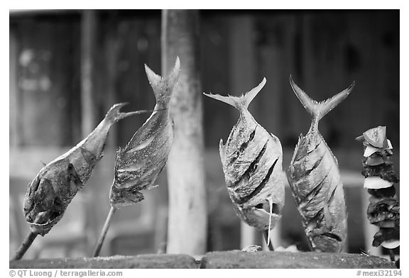 Fish being grilled,  Boca de Tomatlan, Jalisco. Jalisco, Mexico (black and white)