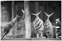 Fish being grilled,  Boca de Tomatlan, Jalisco. Jalisco, Mexico (black and white)