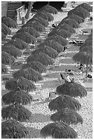 Sun shades lined on a beach resort, Puerto Vallarta, Jalisco. Jalisco, Mexico (black and white)