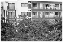 Appartment building above Rio Cuale, Puerto Vallarta, Jalisco. Jalisco, Mexico ( black and white)