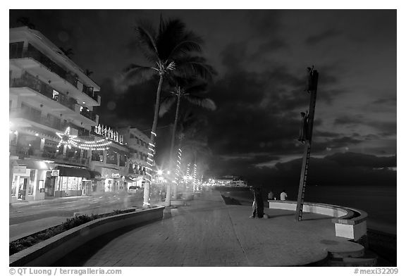 Palm trees and sculpture on Malecon at night, Puerto Vallarta, Jalisco. Jalisco, Mexico (black and white)