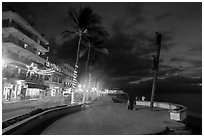 Palm trees and sculpture on Malecon at night, Puerto Vallarta, Jalisco. Jalisco, Mexico (black and white)