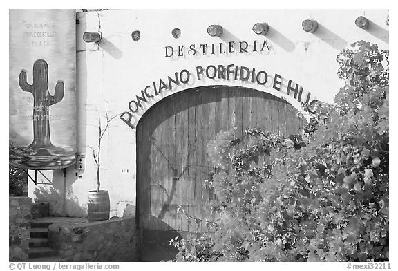 Tequila distillery, Puerto Vallarta, Jalisco. Jalisco, Mexico