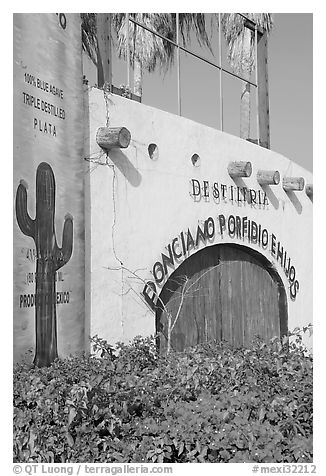 Tequila distillery, Puerto Vallarta, Jalisco. Jalisco, Mexico (black and white)