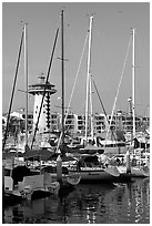 Yatchs in Marina Vallarta, Puerto Vallarta, Jalisco. Jalisco, Mexico (black and white)