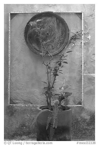 Potted plant and decorative platter on a wall, Puerto Vallarta, Jalisco. Jalisco, Mexico (black and white)