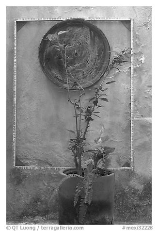 Potted plant and decorative platter on a wall, Puerto Vallarta, Jalisco. Jalisco, Mexico