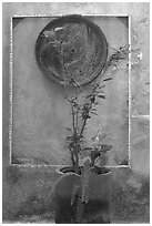 Potted plant and decorative platter on a wall, Puerto Vallarta, Jalisco. Jalisco, Mexico (black and white)