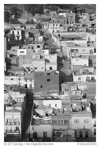 Houses and Cajaon de Garcia Rojas. Zacatecas, Mexico (black and white)