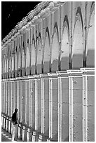 Columns of Poseda de la Moneda by night. Zacatecas, Mexico ( black and white)