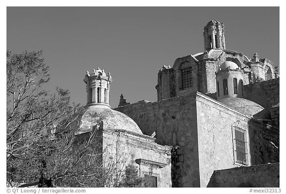 Dome of Rafael Coronel Museum. Zacatecas, Mexico (black and white)