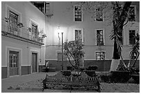 Jardin de la Reforma by night. Guanajuato, Mexico ( black and white)