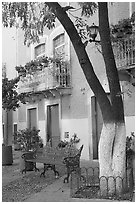 Tree, publich bench, and house on Plazuela San Fernando. Guanajuato, Mexico ( black and white)