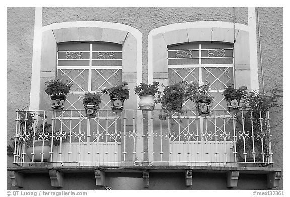 Balcony with potted flowers. Guanajuato, Mexico (black and white)