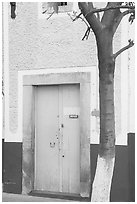 Door and tree. Guanajuato, Mexico (black and white)