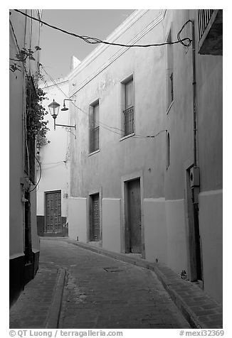 Narrow street with green houses. Guanajuato, Mexico (black and white)