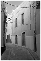 Narrow street with green houses. Guanajuato, Mexico ( black and white)