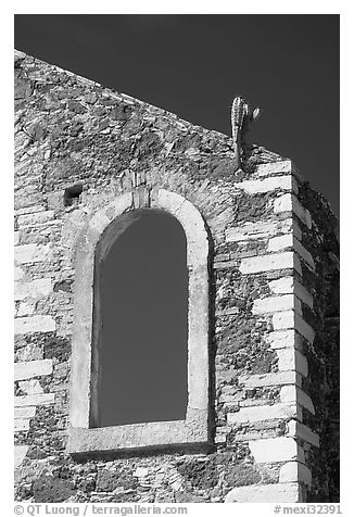 Corner of a ruined house with cactus growing out. Guanajuato, Mexico (black and white)