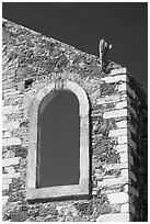 Corner of a ruined house with cactus growing out. Guanajuato, Mexico (black and white)