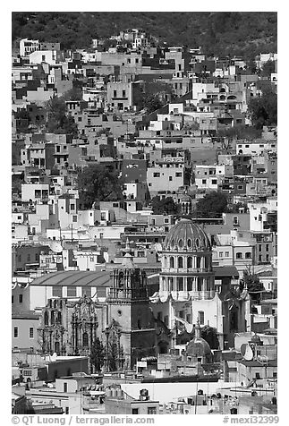 City center from above  with dome of Templo de la Compania de Jesus. Guanajuato, Mexico (black and white)