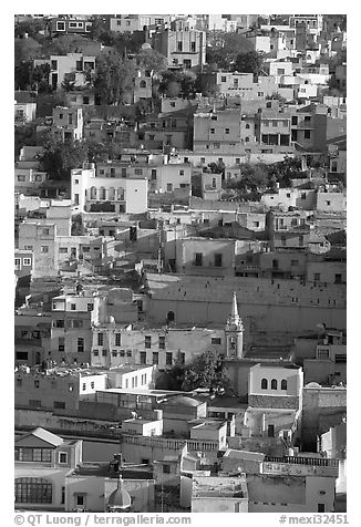 Houses built on steep hill,  early morning. Guanajuato, Mexico (black and white)