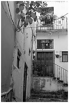 House. Guanajuato, Mexico (black and white)