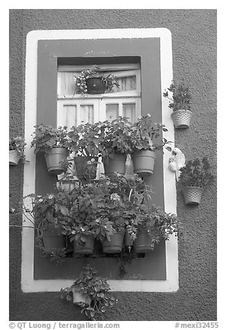 Window decorated with many potted flowers. Guanajuato, Mexico (black and white)