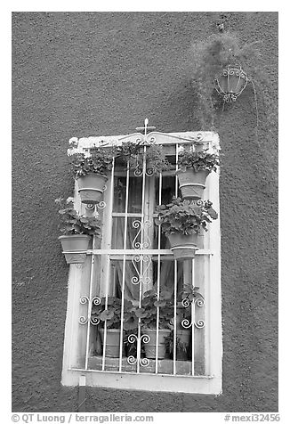 Window decorated with many potted plants. Guanajuato, Mexico (black and white)