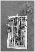 Window decorated with many potted plants. Guanajuato, Mexico (black and white)