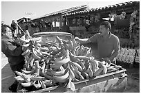 Man unloading bananas from the back of a truck. Mexico (black and white)