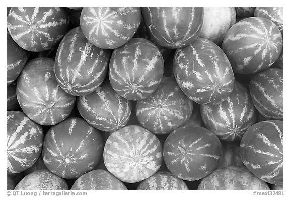 Watermelons. Mexico (black and white)