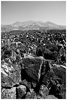 Hardened lava field. Mexico (black and white)