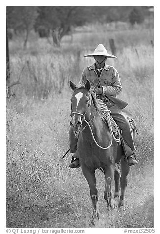 Man riding a horse. Mexico (black and white)