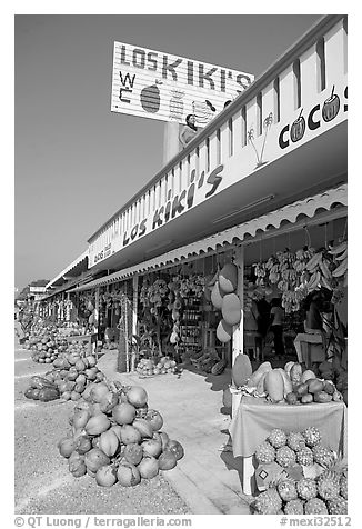 Row of tropical fruit stands. Mexico (black and white)