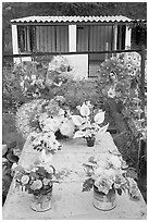 Multicolored flowers on a grave. Mexico (black and white)