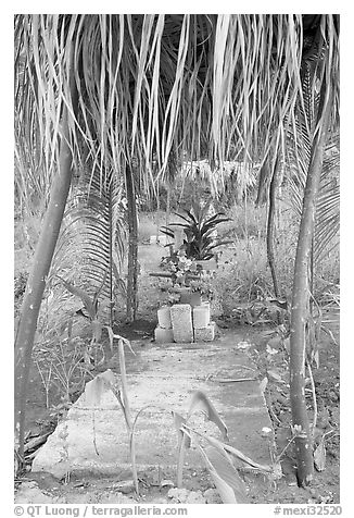 Tropical tomb in a cemetery. Mexico