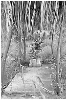 Tropical tomb in a cemetery. Mexico ( black and white)