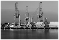 Cranes in port, Ensenada. Baja California, Mexico (black and white)