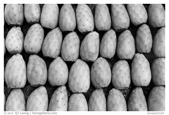 Cherimoya fruit. Baja California, Mexico (black and white)